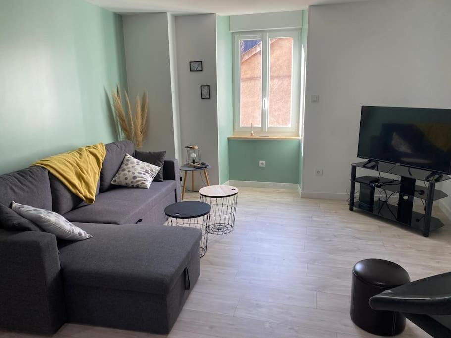 Apartament Entre La Montagne Et La Riviere Sinsat Zewnętrze zdjęcie